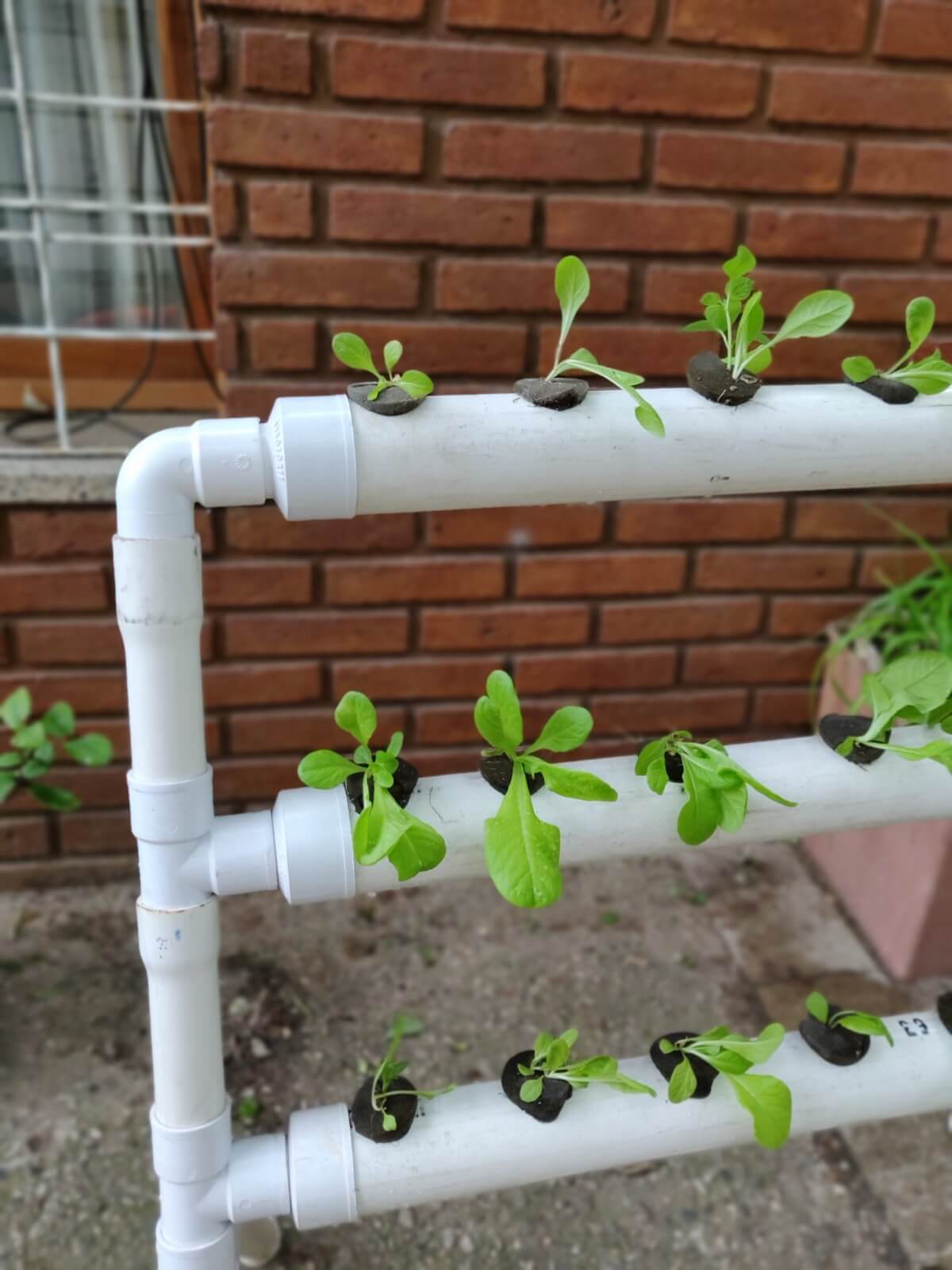 Hidroponia Kit 28 plantas - Sistema de hidroponia de fácil instalación