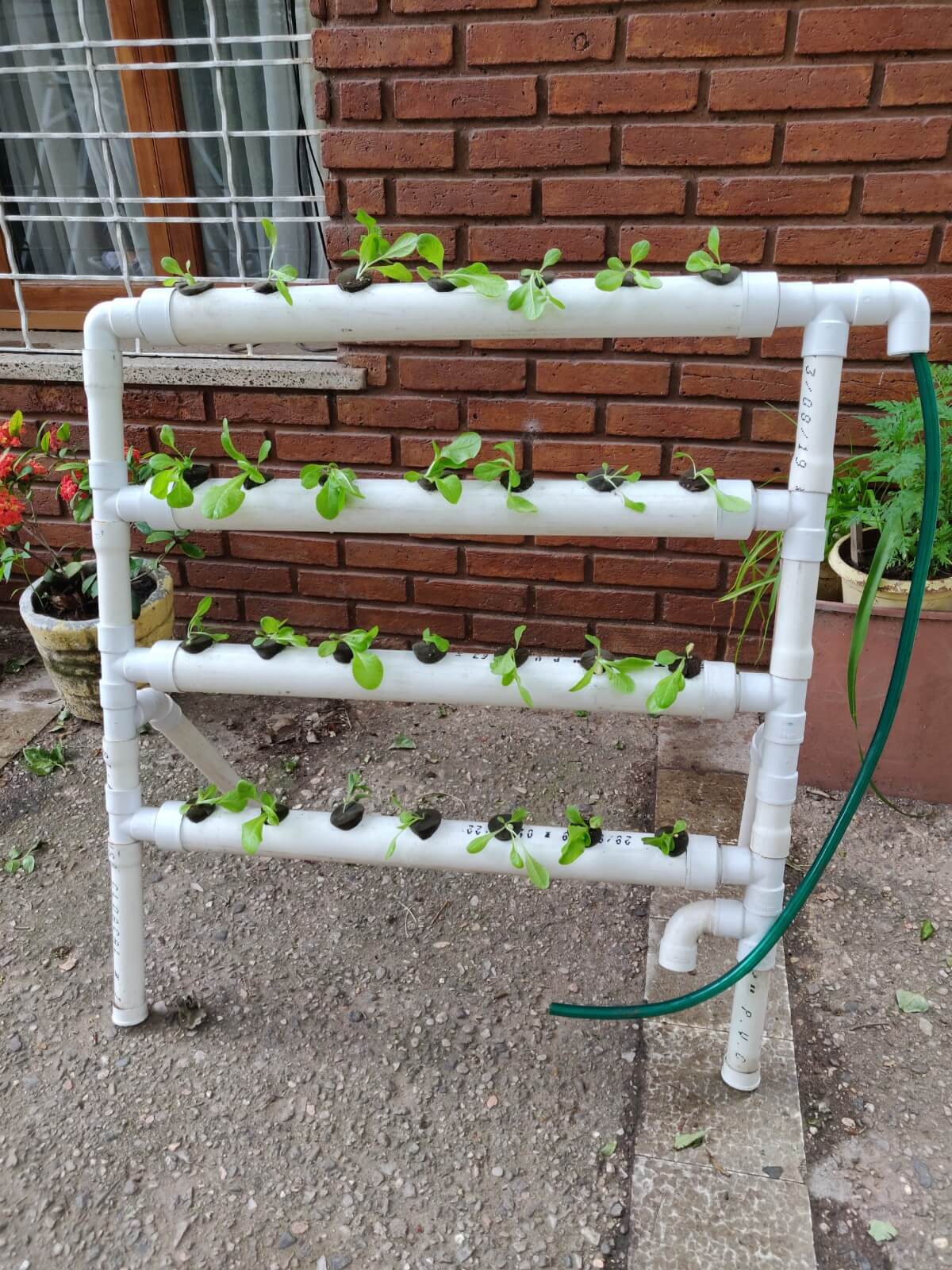 Hidroponia Kit 28 plantas - Sistema de hidroponia de fácil instalación