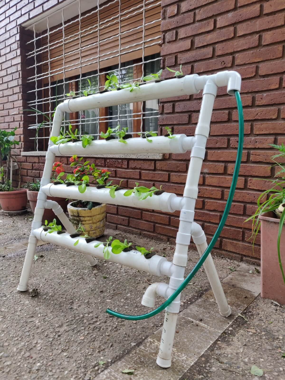 Hidroponia Kit 28 plantas - Sistema de hidroponia de fácil instalación